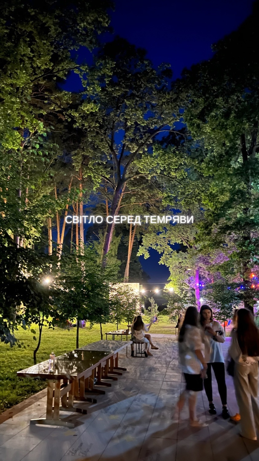 Світло серед темряви — вечір під соснами